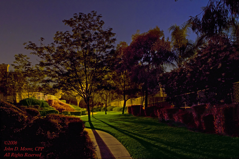 "A walk along the narrow path" Riverside, California